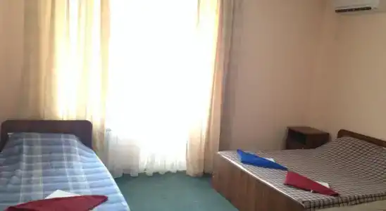 Виолетта - 20