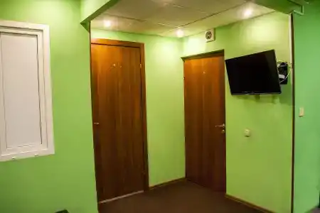 Мята - 26