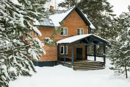 Клевер - 1