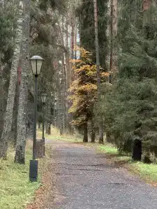 Ясные Зори - 14