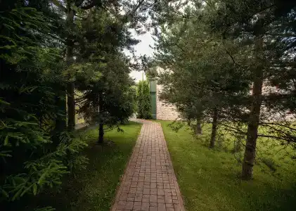 Сытый Ежик - 7