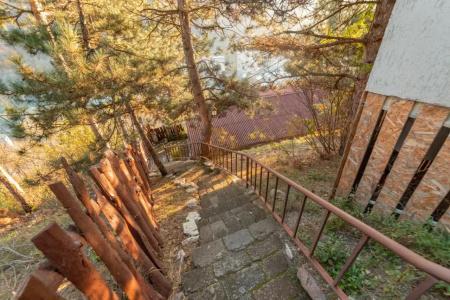 Popock Dilijan 1 - 35