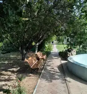 Вирджиния - 2