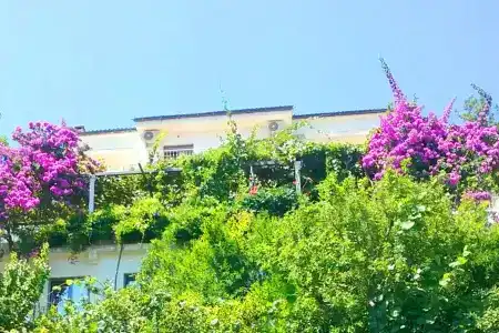 Guest House Madra - 3