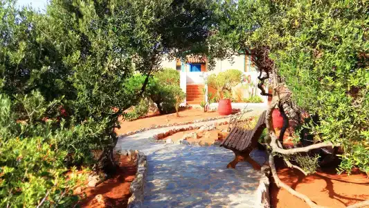 Zorbas Beach Village - 29