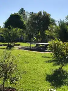 Villa Apsua - 80