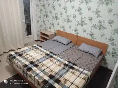 Подсолнухи - 17