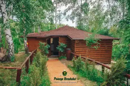 Poiana Bradului - 55