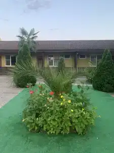 7 Пальм - 3
