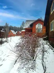 Ателика Улиткино - 6