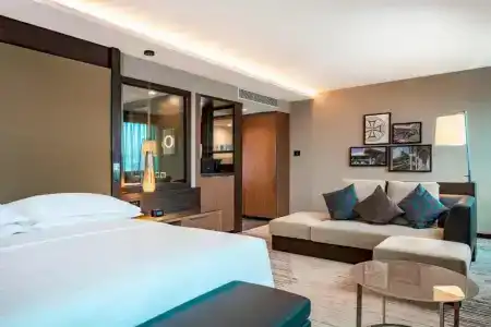 Sheraton Grand Tbilisi Metechi Palace - 63