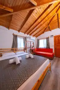 Koala Bungalows - 65