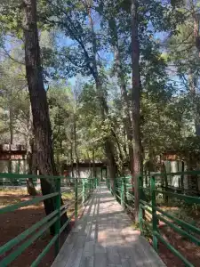 Комплекс Сосновый - 0