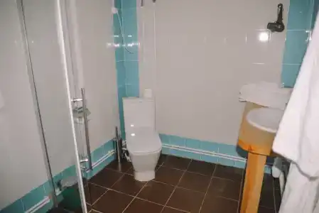 Cedar Grass Териберка - 124