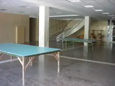 Звездный - 1