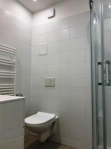 Villa Oliver 1 Hévíz - 84