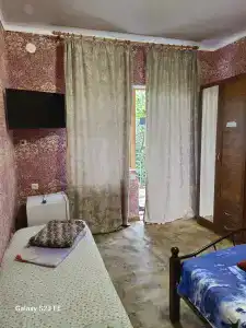 Две Пальмы - 12