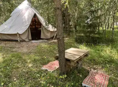 Звездный лес - 134