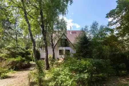 Звезда 2000 - 36