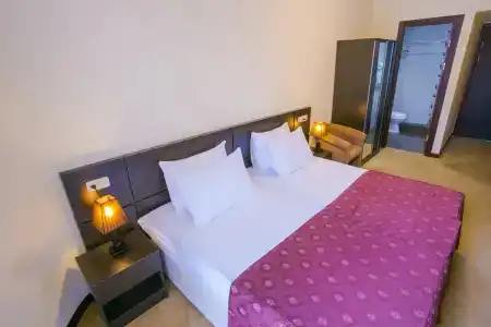 Ani Central Inn - 17