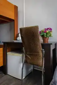 Альбатрос - 81