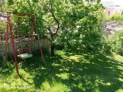 Подсолнухи - 47