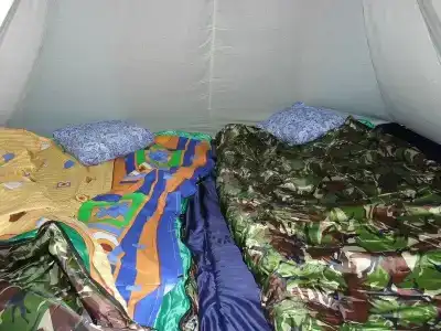 Волчок - 13