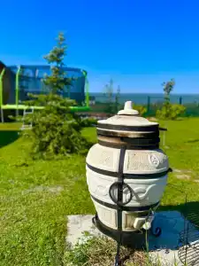 Дикая земля - 6