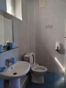 Дельфин - 17