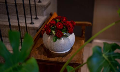 Galavani by Vintage Collections - 7