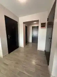 Графит - 11