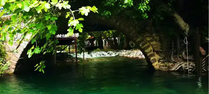 Manastırhan Kazdağları Butik Otel - 9