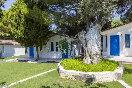 Risus Garden Marina - 11