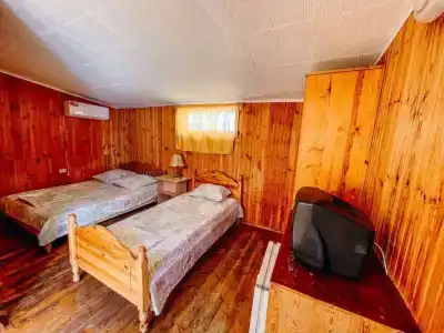 Динамо 2 - 50