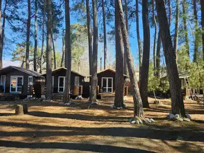 Forest Club - 14