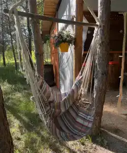 Звездный лес - 21