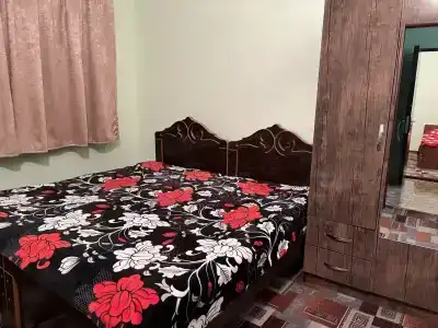 Алиса - 14