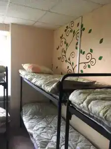 Staff Hostel Заневский 32 - 5