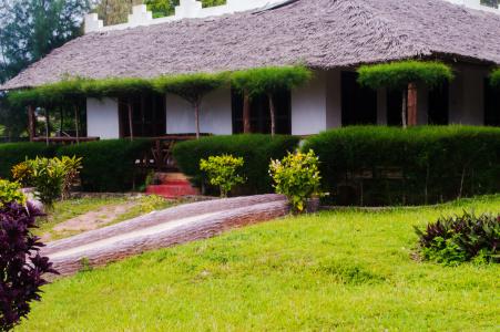 Zanzi Rest Bungalow - 41