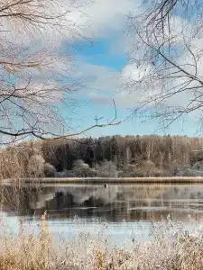 Берег желаний - 51