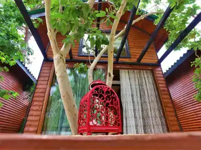 Koala Bungalows - 105