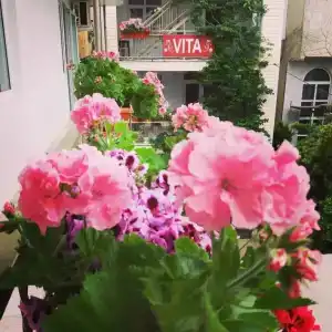 Вита - 0