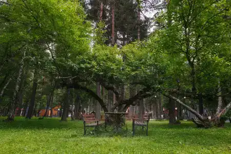 Куш Хаус - 6