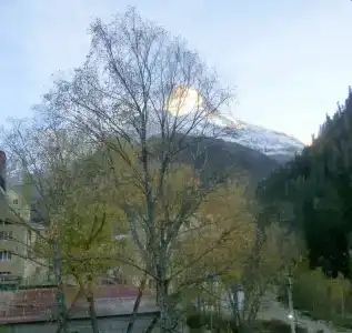 Айс Черри - 12