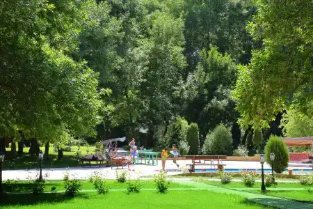 Дельта-Трофи - 1