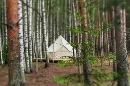 Берег Грифона - 0