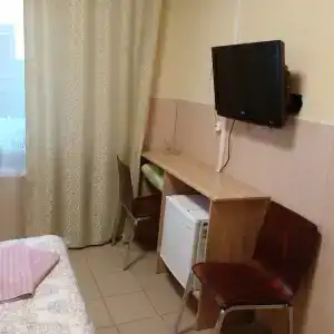Сова - 14
