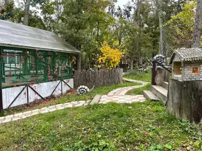 Кантри - 14