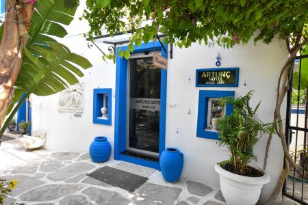 Artunc Bodrum - 43