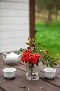 Валдай Эко Клуб - 73
